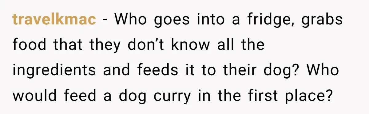 travelkmac − Who goes into a fridge, grabs food that they don’t know all the ingredients and feeds it to their dog? Who would feed a dog curry in the...