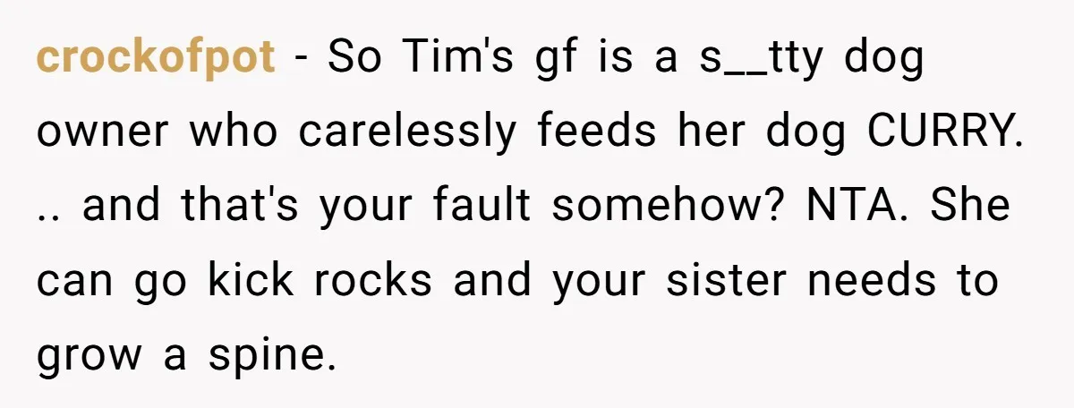 crockofpot − So Tim's gf is a s__tty dog owner who carelessly feeds her dog CURRY. .. and that's your fault somehow? NTA. She can go kick rocks and your...