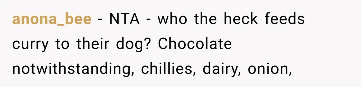 anona_bee − NTA - who the heck feeds curry to their dog? Chocolate notwithstanding, chillies, dairy, onion,