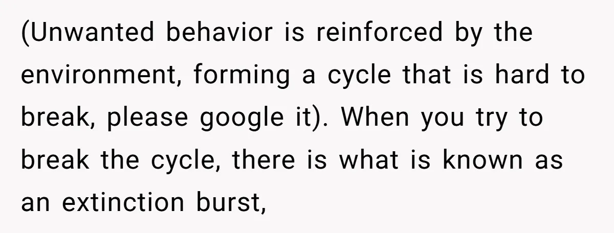 (Unwanted behavior is reinforced by the environment, forming a cycle that is hard to break, please google it). When you try to break the cycle, there is what is known...