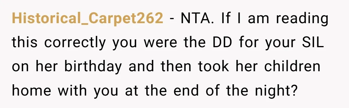 Historical_Carpet262 − NTA. If I am reading this correctly you were the DD for your SIL on her birthday and then took her children home with you at the end...