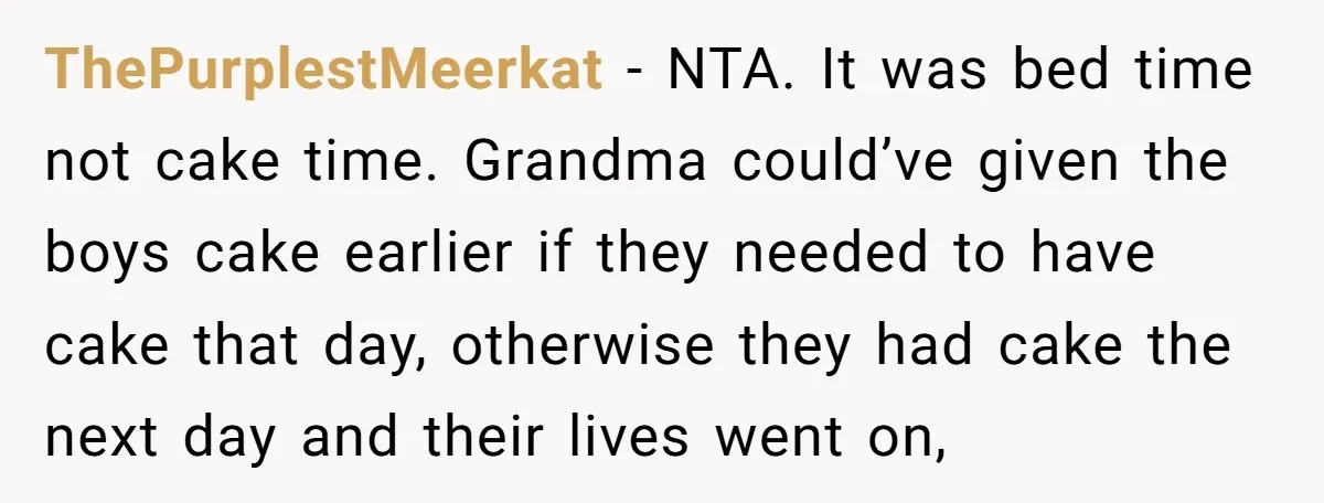 ThePurplestMeerkat − NTA. It was bed time not cake time. Grandma could’ve given the boys cake earlier if they needed to have cake that day, otherwise they had cake the...