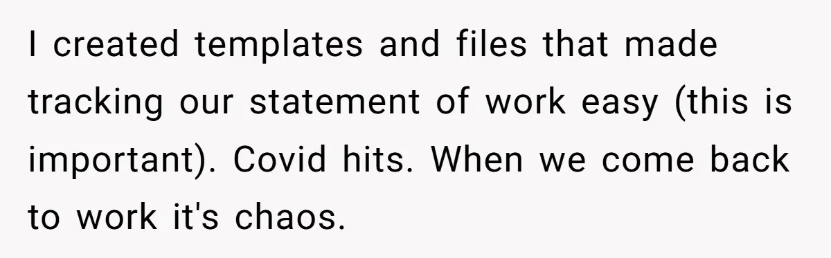 I created templates and files that made tracking our statement of work easy (this is important). Covid hits. When we come back to work it's chaos.