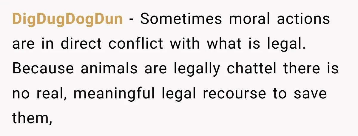 DigDugDogDun − Sometimes moral actions are in direct conflict with what is legal. Because animals are legally chattel there is no real, meaningful legal recourse to save them,