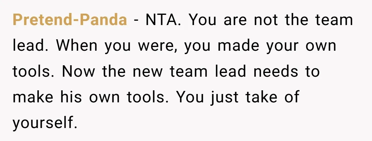 Pretend-Panda − NTA. You are not the team lead. When you were, you made your own tools. Now the new team lead needs to make his own tools. You just...