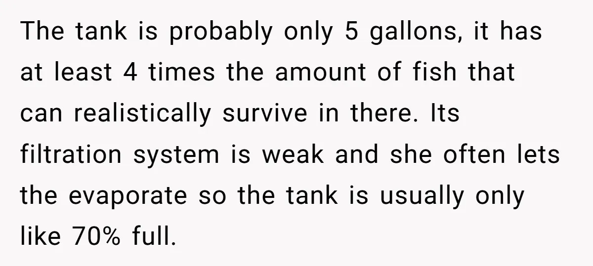 The tank is probably only 5 gallons, it has at least 4 times the amount of fish that can realistically survive in there. Its filtration system is weak and she...