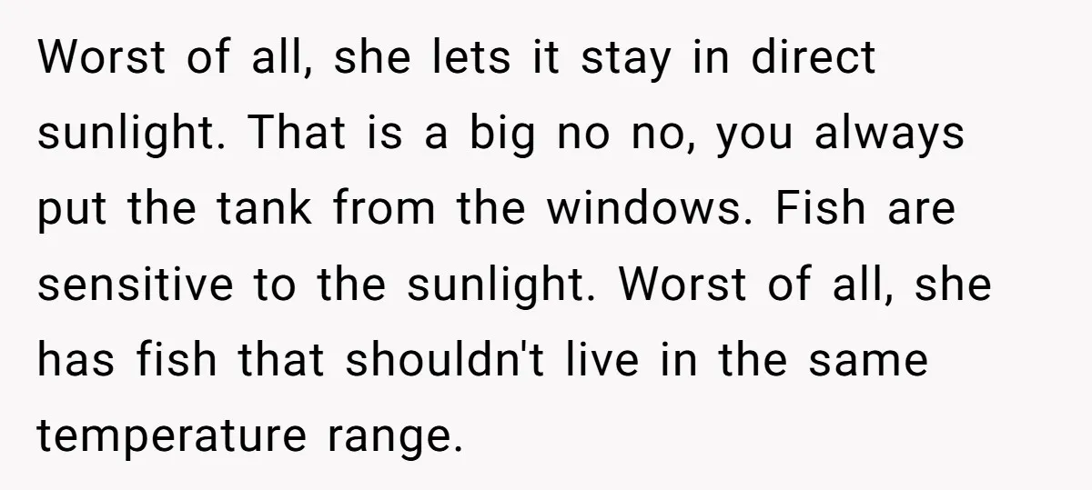 Worst of all, she lets it stay in direct sunlight. That is a big no no, you always put the tank from the windows. Fish are sensitive to the sunlight....