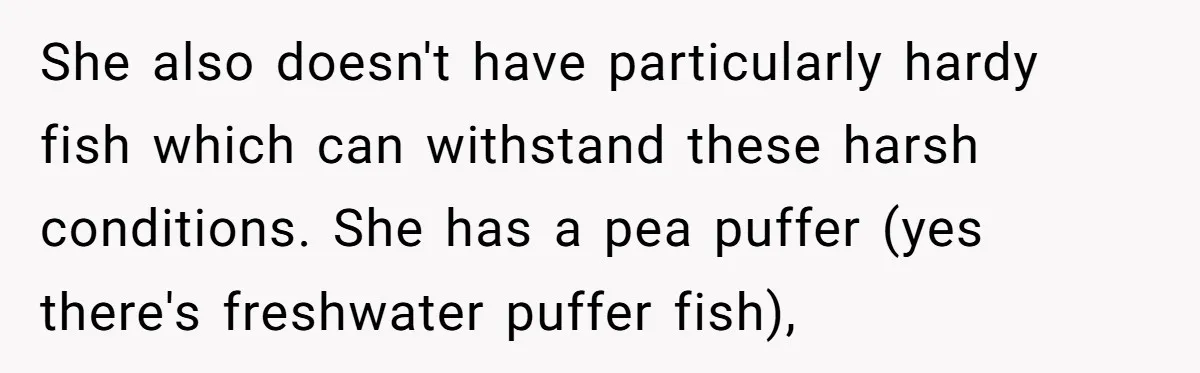 She also doesn't have particularly hardy fish which can withstand these harsh conditions. She has a pea puffer (yes there's freshwater puffer fish),