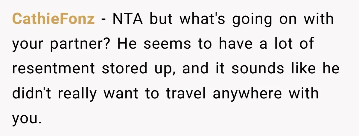 CathieFonz − NTA but what's going on with your partner? He seems to have a lot of resentment stored up, and it sounds like he didn't really want to travel...