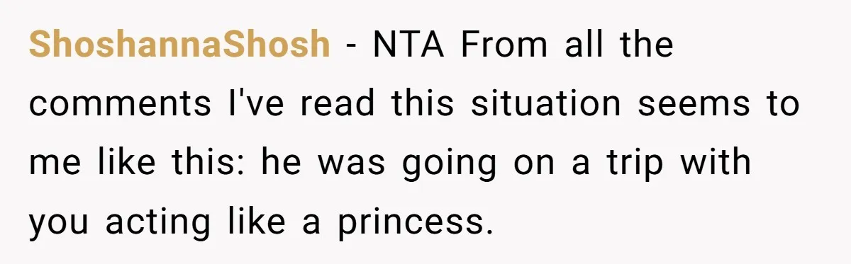 ShoshannaShosh − NTA From all the comments I've read this situation seems to me like this: he was going on a trip with you acting like a princess.