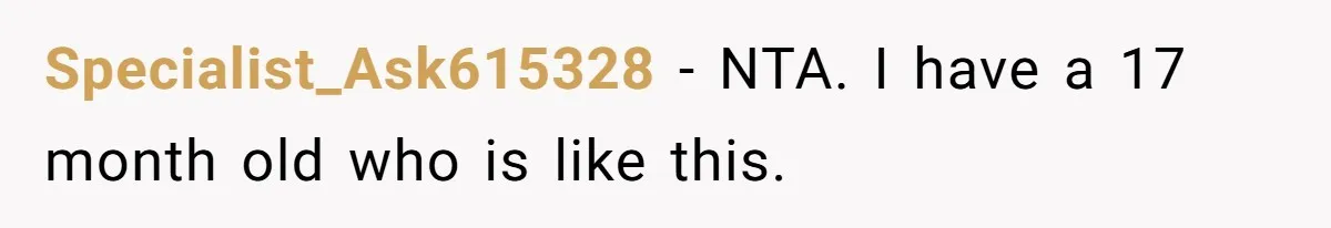 Specialist_Ask615328 − NTA. I have a 17 month old who is like this.