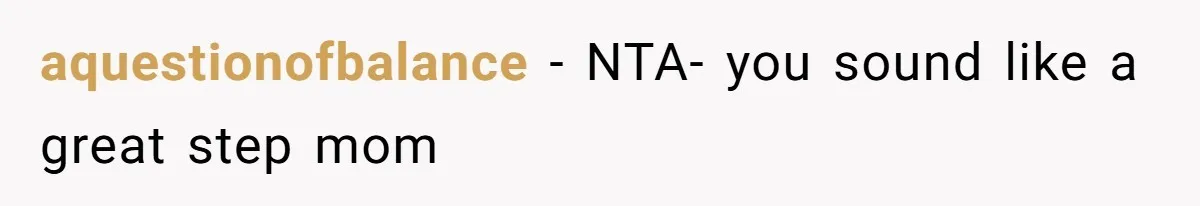 aquestionofbalance − NTA- you sound like a great step mom
