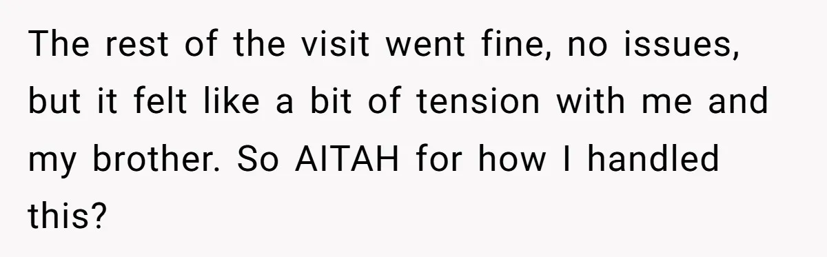 The rest of the visit went fine, no issues, but it felt like a bit of tension with me and my brother. So AITAH for how I handled this?