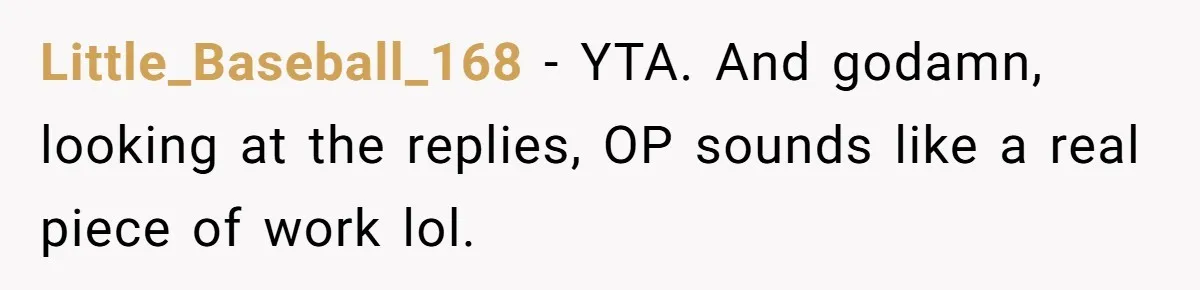 Little_Baseball_168 − YTA. And godamn, looking at the replies, OP sounds like a real piece of work lol.