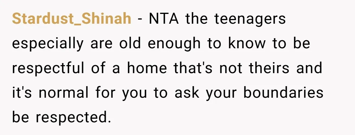 Stardust_Shinah − NTA the teenagers especially are old enough to know to be respectful of a home that's not theirs and it's normal for you to ask your boundaries be...