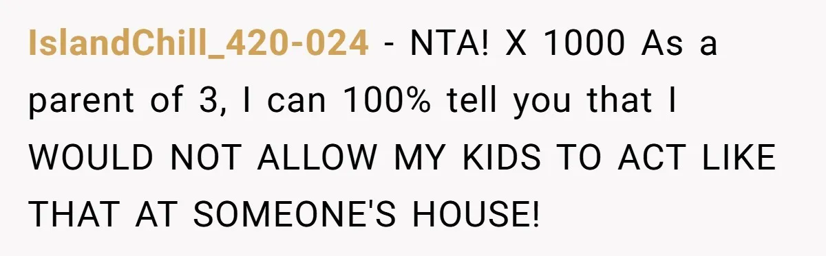IslandChill_420-024 − NTA! X 1000 As a parent of 3, I can 100% tell you that I WOULD NOT ALLOW MY KIDS TO ACT LIKE THAT AT SOMEONE'S HOUSE!
