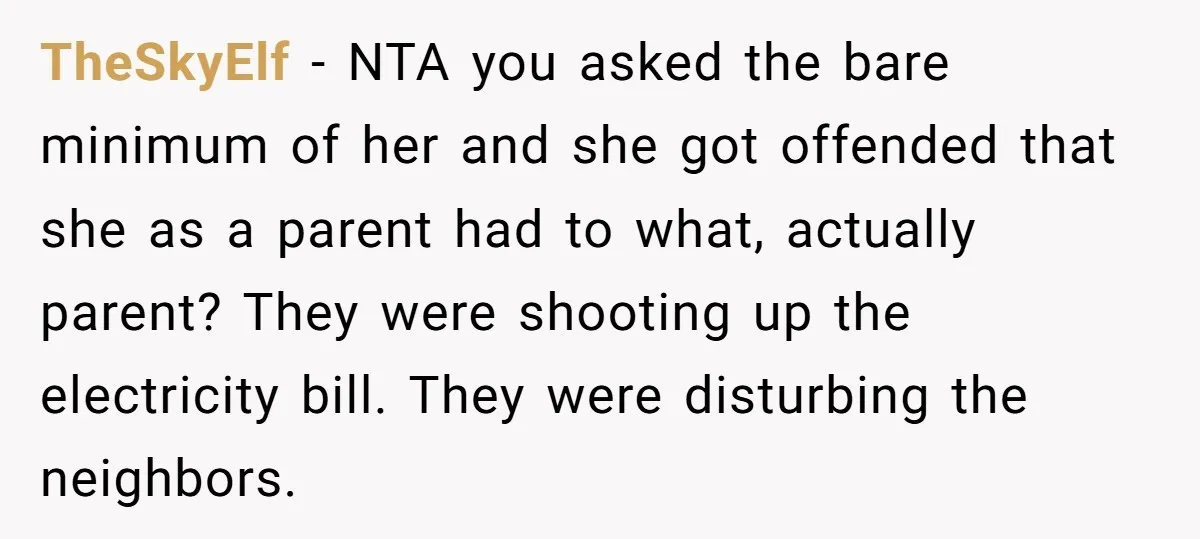 TheSkyElf − NTA you asked the bare minimum of her and she got offended that she as a parent had to what, actually parent? They were shooting up the electricity...