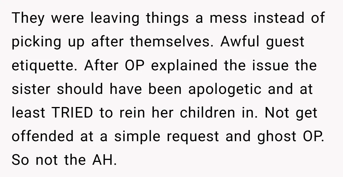 They were leaving things a mess instead of picking up after themselves. Awful guest etiquette. After OP explained the issue the sister should have been apologetic and at least TRIED...