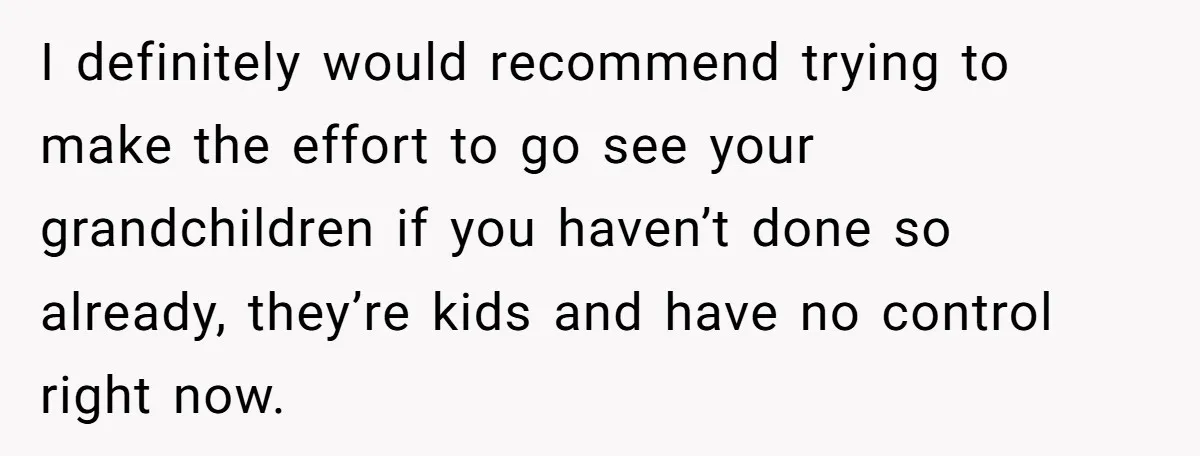 I definitely would recommend trying to make the effort to go see your grandchildren if you haven’t done so already, they’re kids and have no control right now.