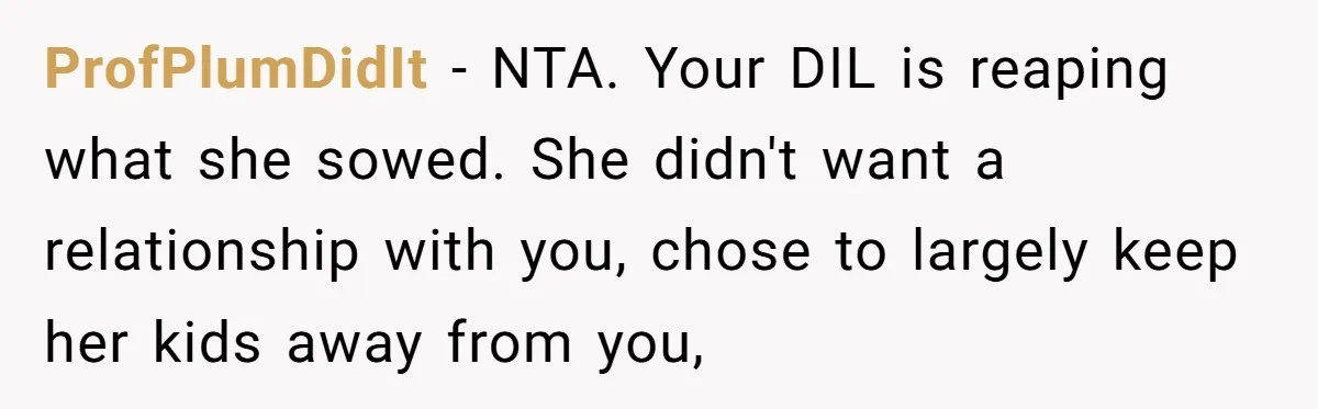 ProfPlumDidIt − NTA. Your DIL is reaping what she sowed. She didn't want a relationship with you, chose to largely keep her kids away from you,