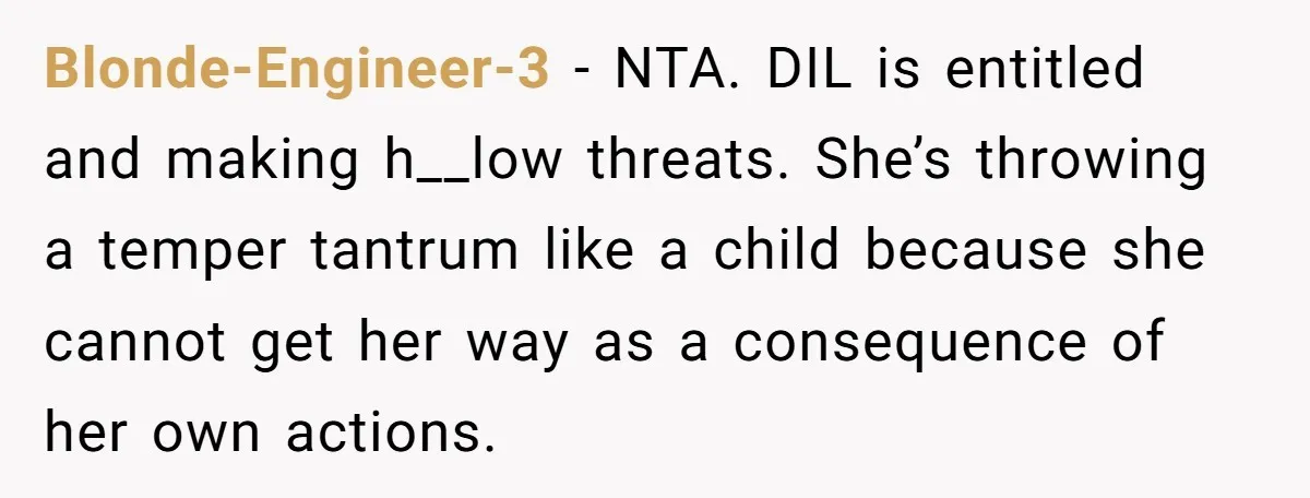 Blonde-Engineer-3 − NTA. DIL is entitled and making h__low threats. She’s throwing a temper tantrum like a child because she cannot get her way as a consequence of her own...