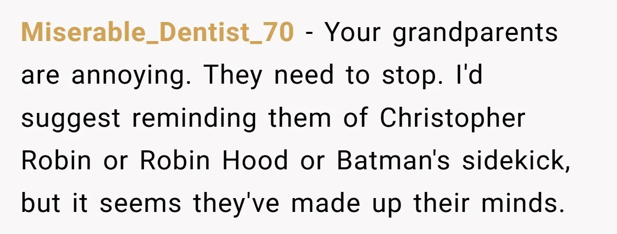 Miserable_Dentist_70 − Your grandparents are annoying. They need to stop. I'd suggest reminding them of Christopher Robin or Robin Hood or Batman's sidekick, but it seems they've made up their...
