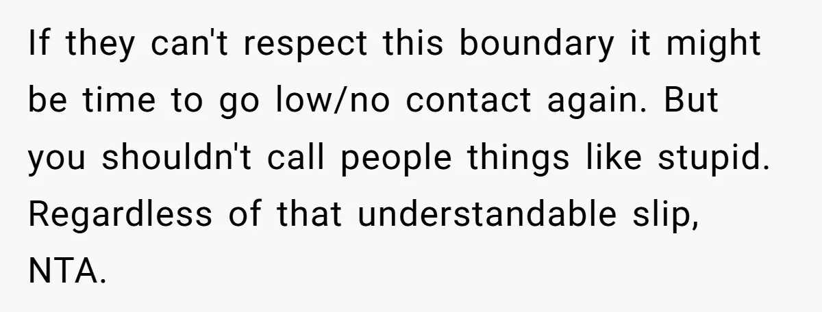 If they can't respect this boundary it might be time to go low/no contact again. But you shouldn't call people things like stupid. Regardless of that understandable slip, NTA.