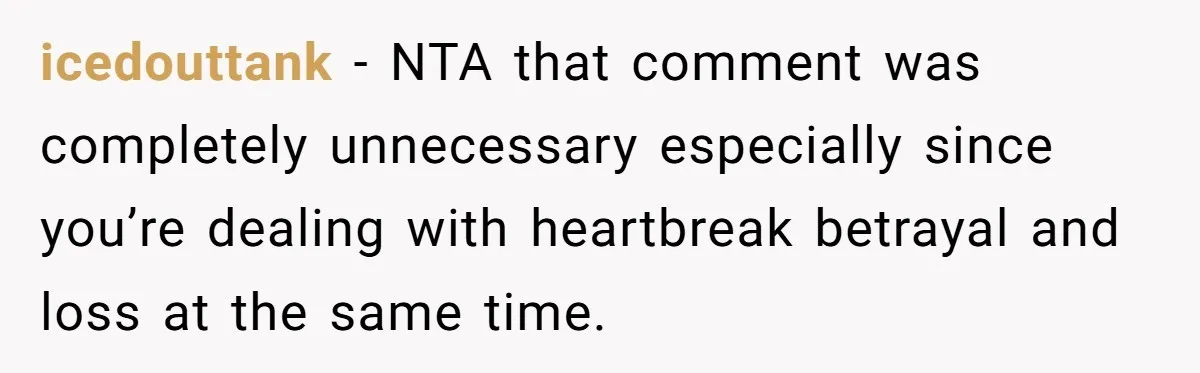icedouttank − NTA that comment was completely unnecessary especially since you’re dealing with heartbreak betrayal and loss at the same time.