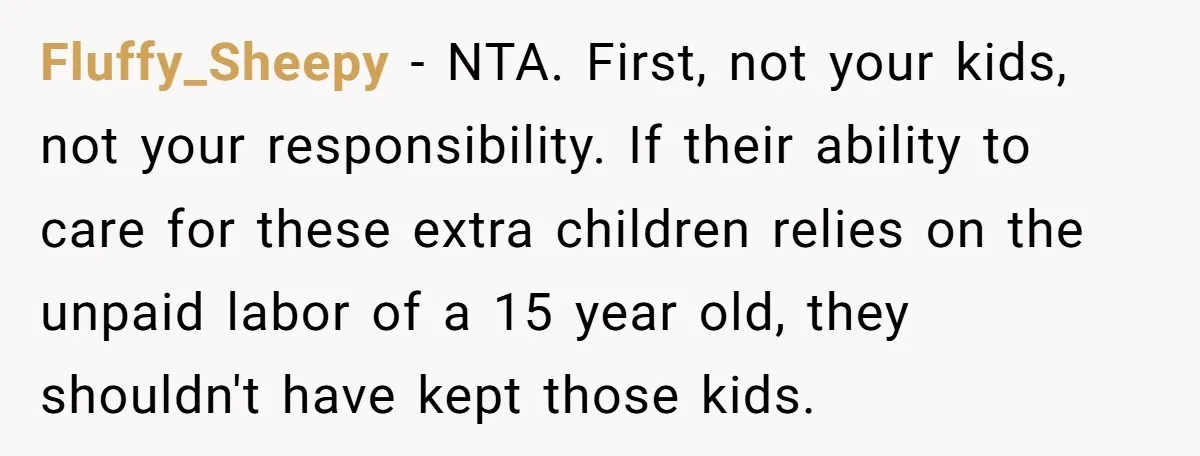 Fluffy_Sheepy − NTA. First, not your kids, not your responsibility. If their ability to care for these extra children relies on the unpaid labor of a 15 year old, they...