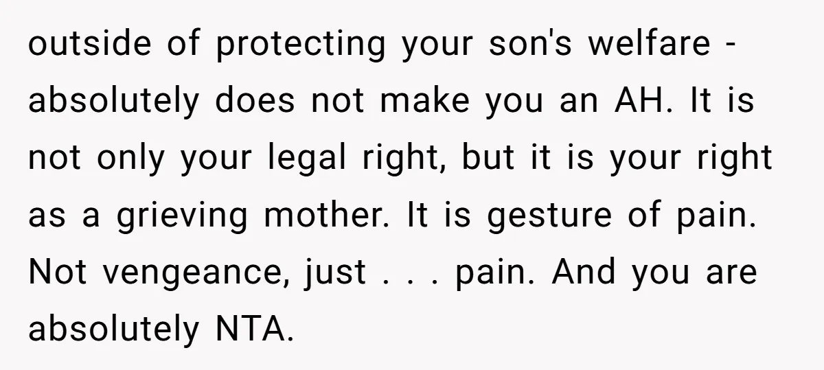 outside of protecting your son's welfare -absolutely does not make you an AH. It is not only your legal right, but it is your right as a grieving mother. It...
