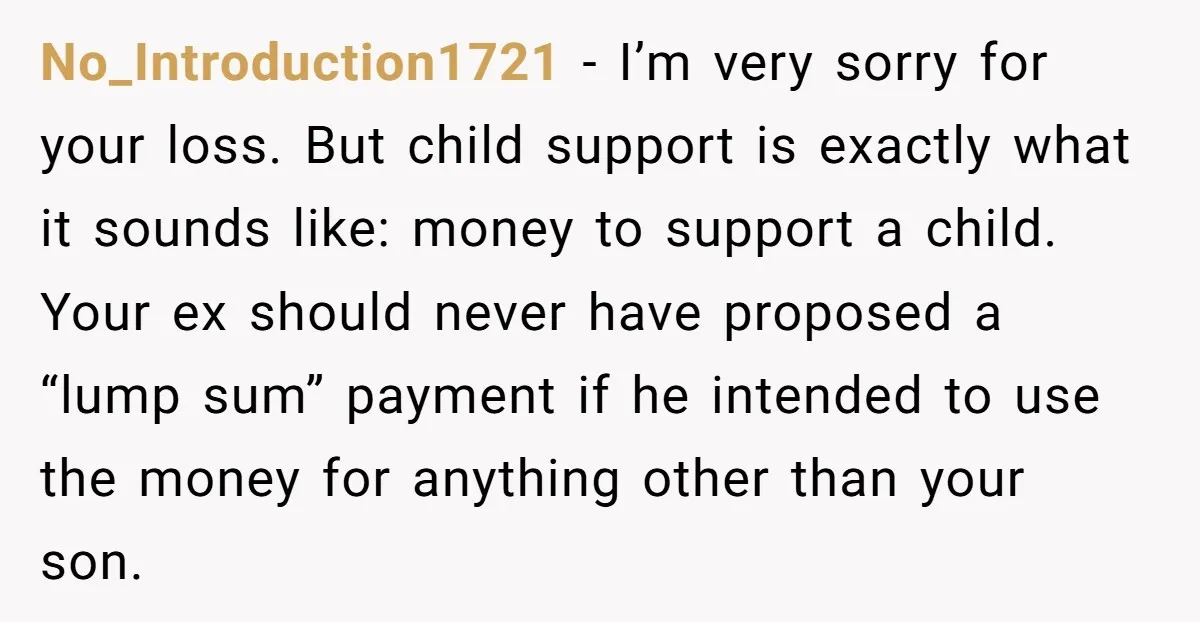 No_Introduction1721 − I’m very sorry for your loss. But child support is exactly what it sounds like: money to support a child. Your ex should never have proposed a “lump...