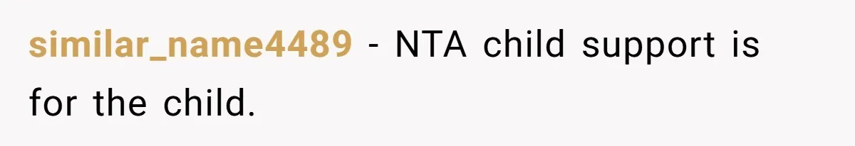 similar_name4489 − NTA child support is for the child.