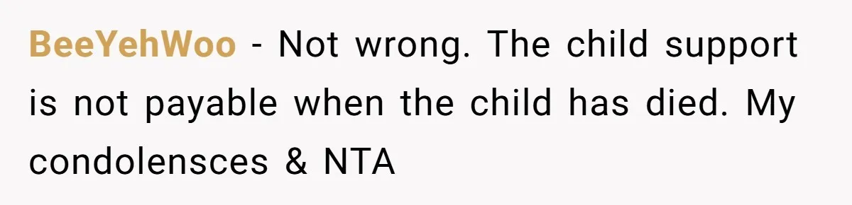 BeeYehWoo − Not wrong. The child support is not payable when the child has died. My condolensces & NTA