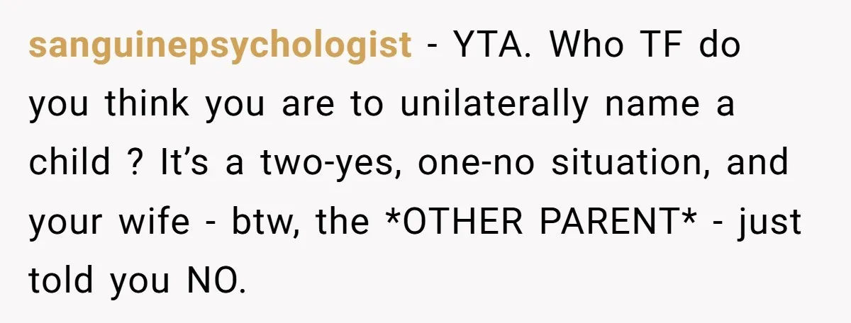 sanguinepsychologist − YTA. Who TF do you think you are to unilaterally name a child ? It’s a two-yes, one-no situation, and your wife - btw, the *OTHER PARENT* -...