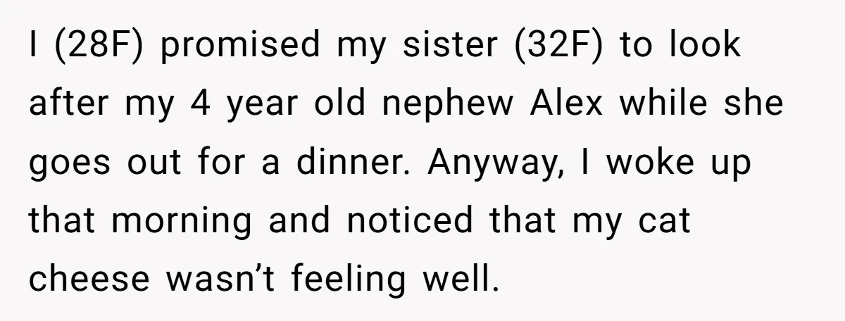 I (28F) promised my sister (32F) to look after my 4 year old nephew Alex while she goes out for a dinner. Anyway, I woke up that morning and noticed...