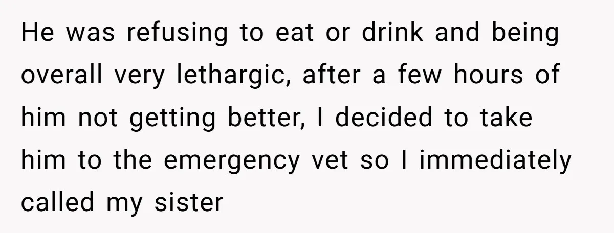 He was refusing to eat or drink and being overall very lethargic, after a few hours of him not getting better, I decided to take him to the emergency vet...