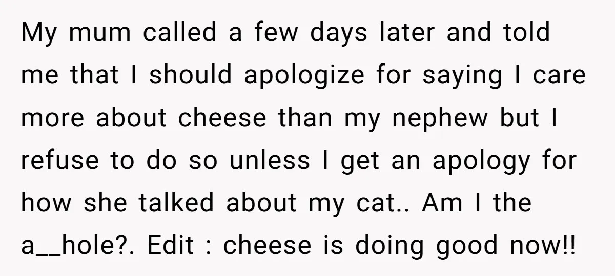 My mum called a few days later and told me that I should apologize for saying I care more about cheese than my nephew but I refuse to do so...