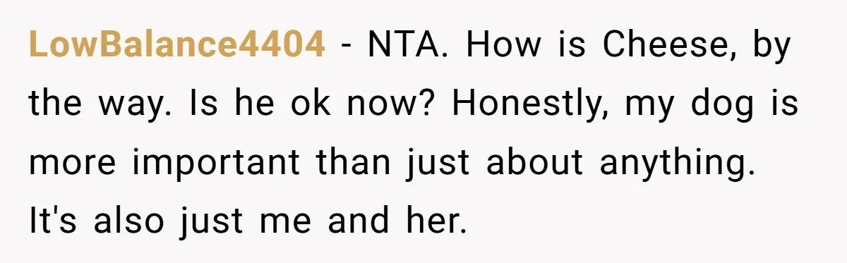 LowBalance4404 − NTA. How is Cheese, by the way. Is he ok now? Honestly, my dog is more important than just about anything. It's also just me and her.