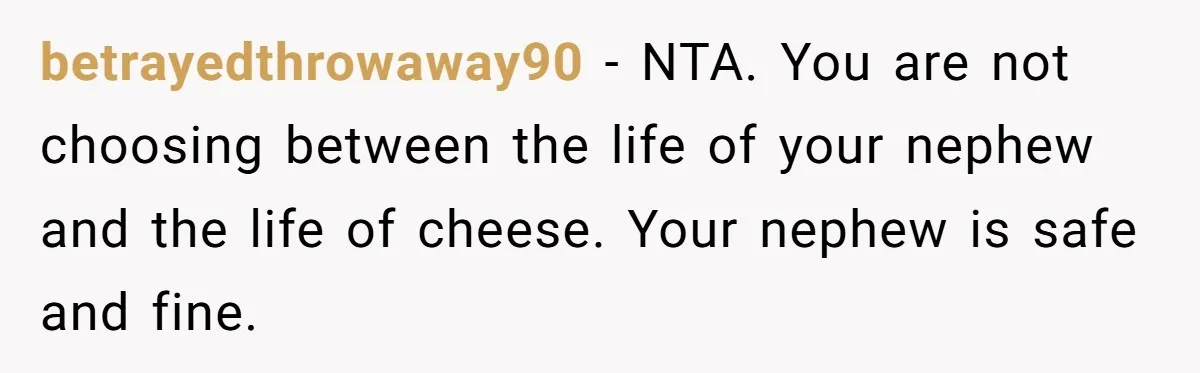betrayedthrowaway90 − NTA. You are not choosing between the life of your nephew and the life of cheese. Your nephew is safe and fine.