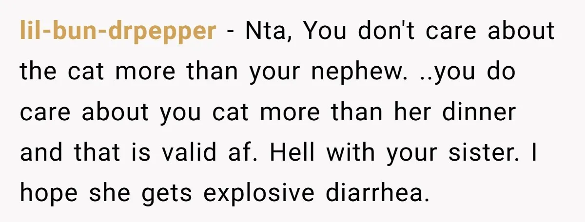 lil-bun-drpepper − Nta, You don't care about the cat more than your nephew. ..you do care about you cat more than her dinner and that is valid af. Hell with...