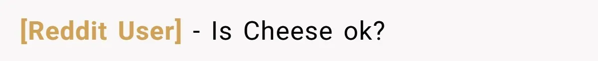 [Reddit User] − Is Cheese ok?