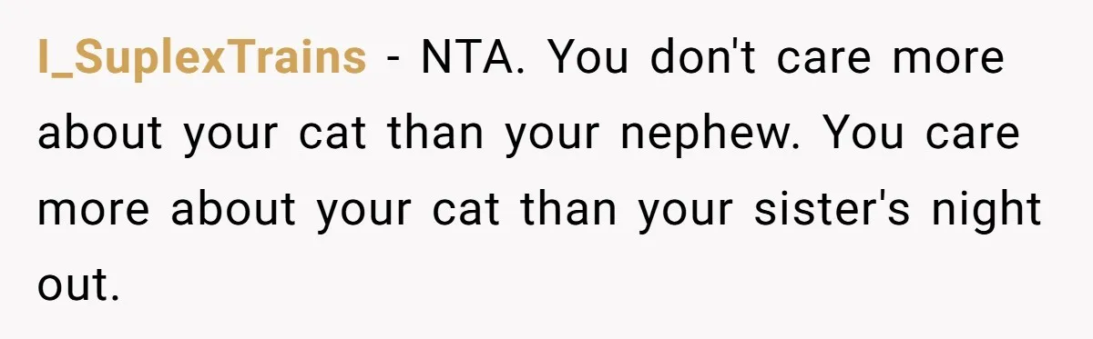 I_SuplexTrains − NTA. You don't care more about your cat than your nephew. You care more about your cat than your sister's night out.