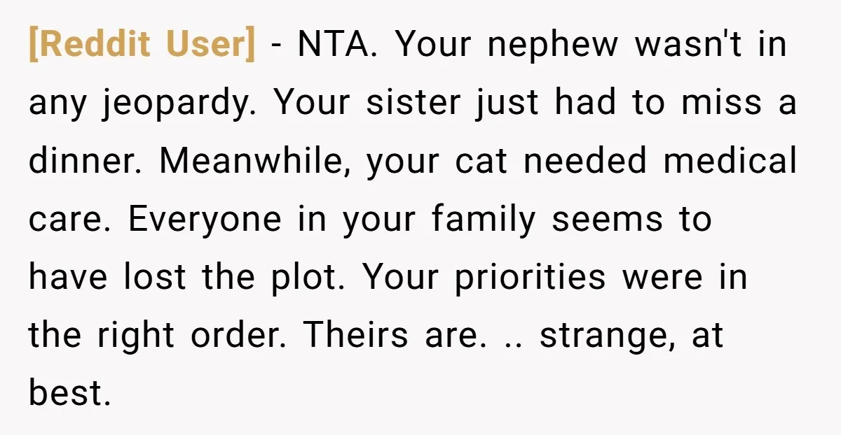 [Reddit User] − NTA. Your nephew wasn't in any jeopardy. Your sister just had to miss a dinner. Meanwhile, your cat needed medical care. Everyone in your family seems to...