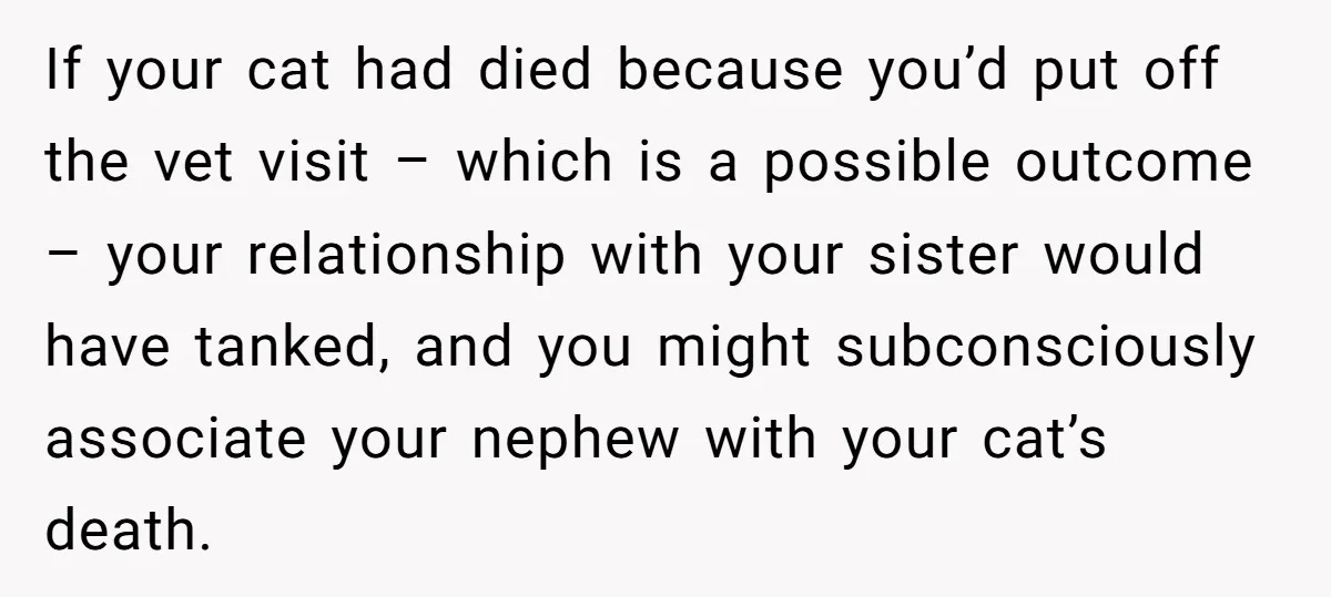 If your cat had died because you’d put off the vet visit – which is a possible outcome – your relationship with your sister would have tanked, and you might...