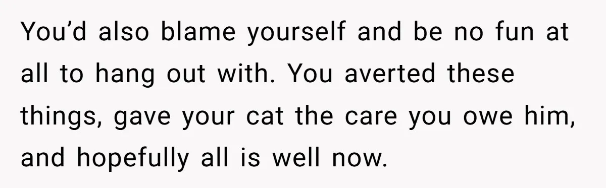 You’d also blame yourself and be no fun at all to hang out with. You averted these things, gave your cat the care you owe him, and hopefully all is...