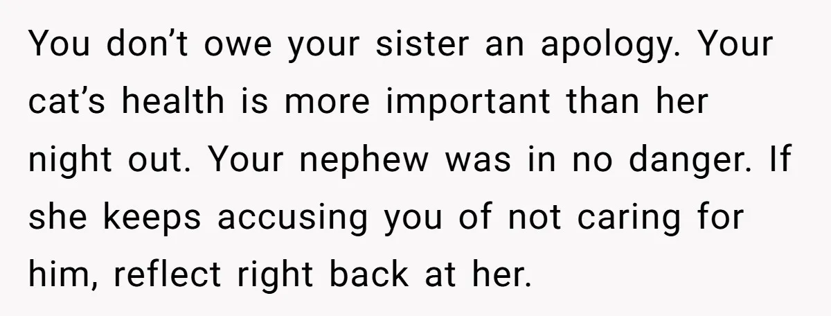 You don’t owe your sister an apology. Your cat’s health is more important than her night out. Your nephew was in no danger. If she keeps accusing you of not...