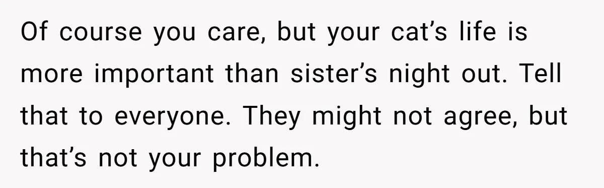 Of course you care, but your cat’s life is more important than sister’s night out. Tell that to everyone. They might not agree, but that’s not your problem.