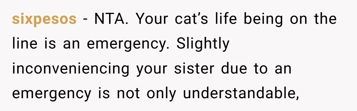 sixpesos − NTA. Your cat’s life being on the line is an emergency. Slightly inconveniencing your sister due to an emergency is not only understandable,