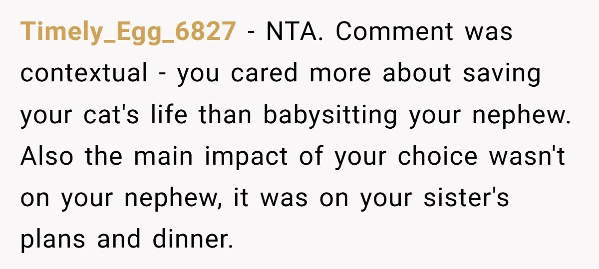 Timely_Egg_6827 − NTA. Comment was contextual - you cared more about saving your cat's life than babysitting your nephew. Also the main impact of your choice wasn't on your nephew,...