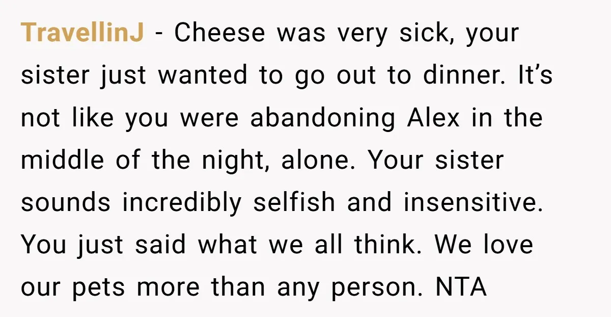 TravellinJ − Cheese was very sick, your sister just wanted to go out to dinner. It’s not like you were abandoning Alex in the middle of the night, alone. Your...